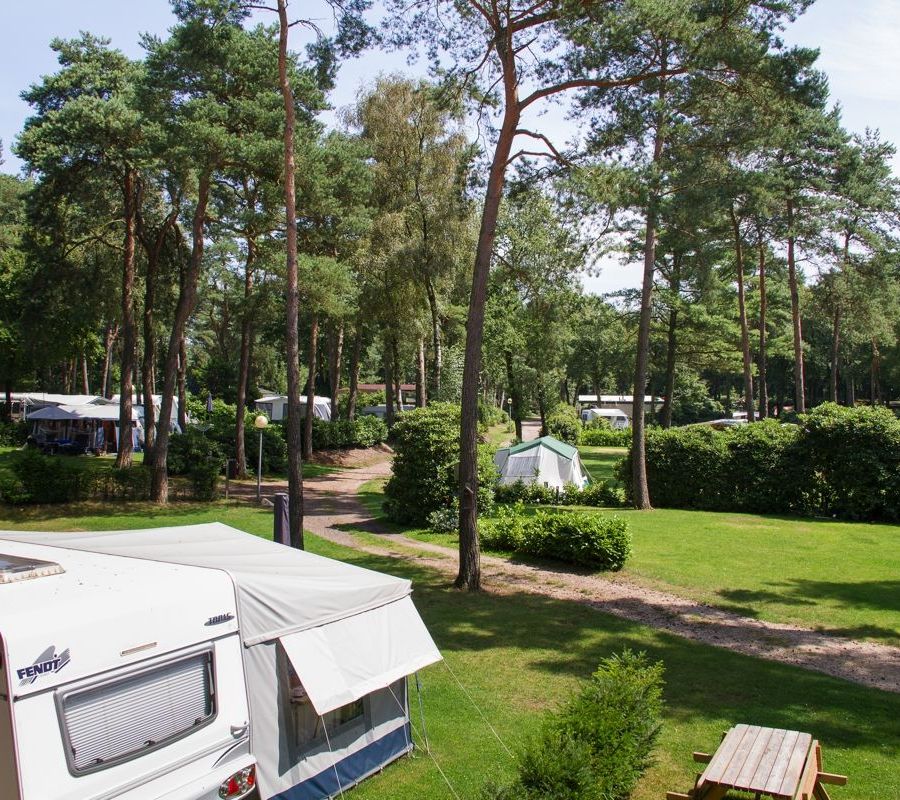 Camping-Zuid-Ginkel-Ede_kamperen_01.jpg