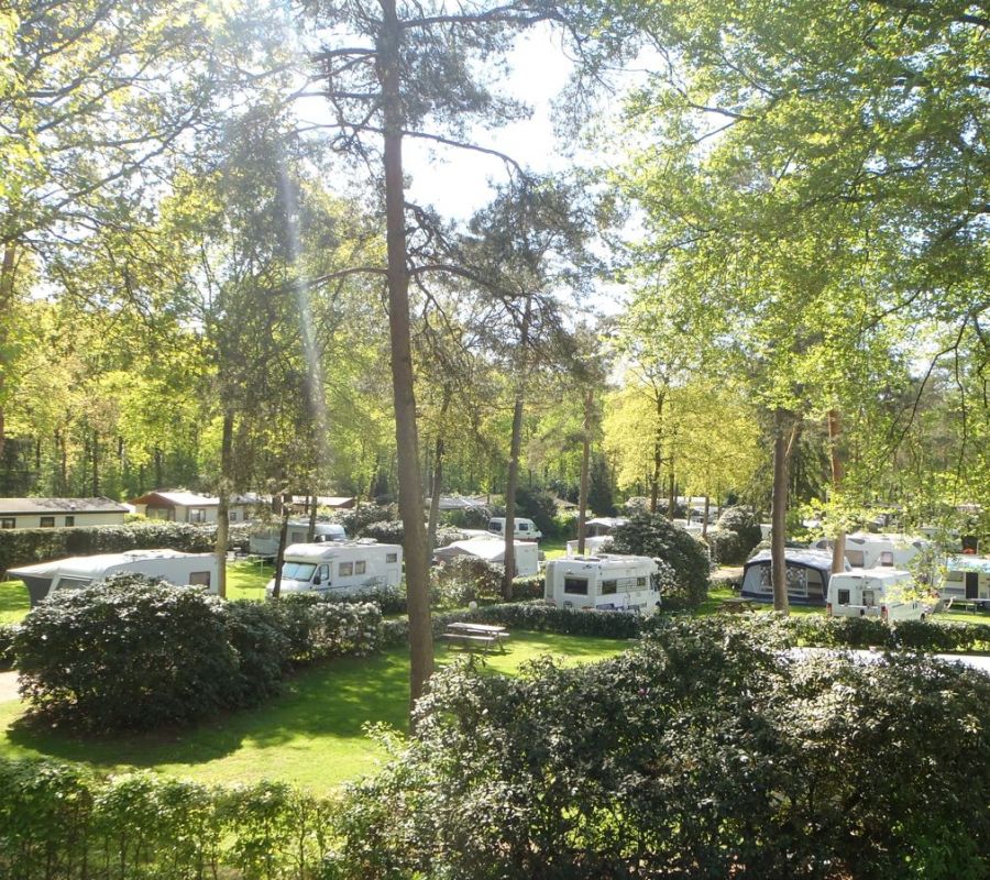 Camping-Zuid-Ginkel-Ede_kamperen_05.jpg