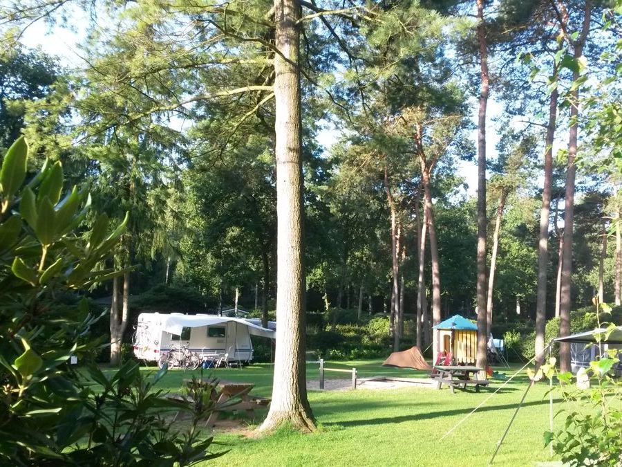 Camping-Zuid-Ginkel-Ede_kamperen_04.jpg