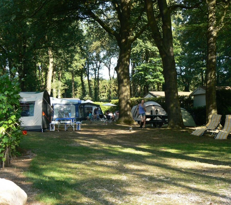 Camping-Zuid-Ginkel-Ede_kamperen_11.jpg