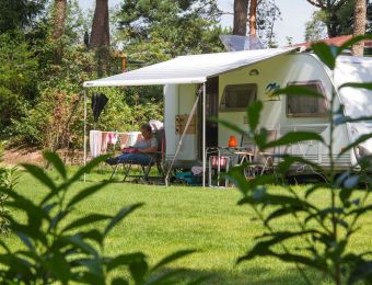Camping Zuid Ginkel — photo 8