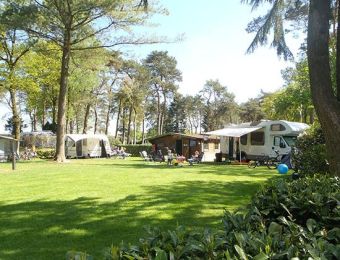 Camping Zuid Ginkel — photo 7
